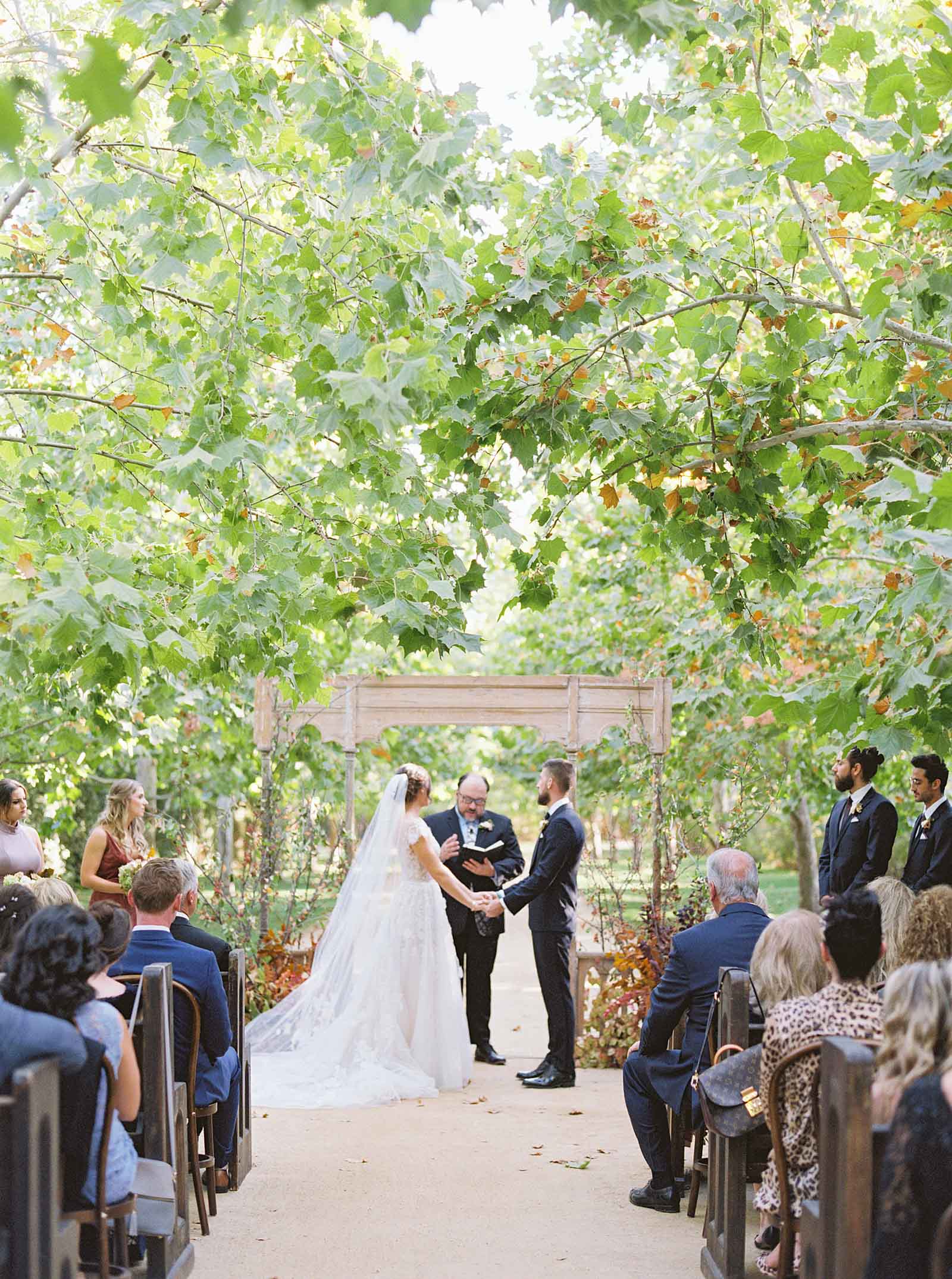 Kestrel Park Fall wedding under the sycamores